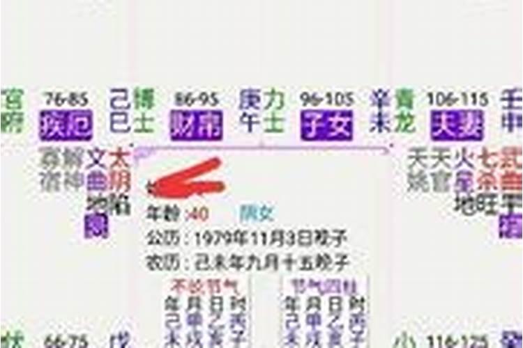 属蛇的男和属猪女的八字合不合婚姻