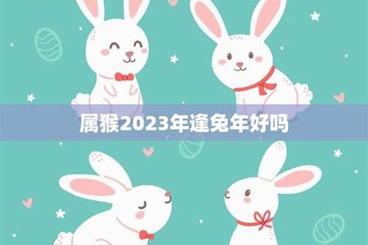 属猴人遇兔年2023运势如何样