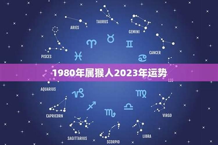 属鸡马2023年运势及运程