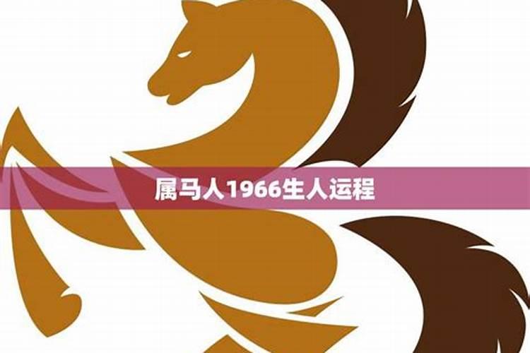 属马1966年出生在2021年的运气