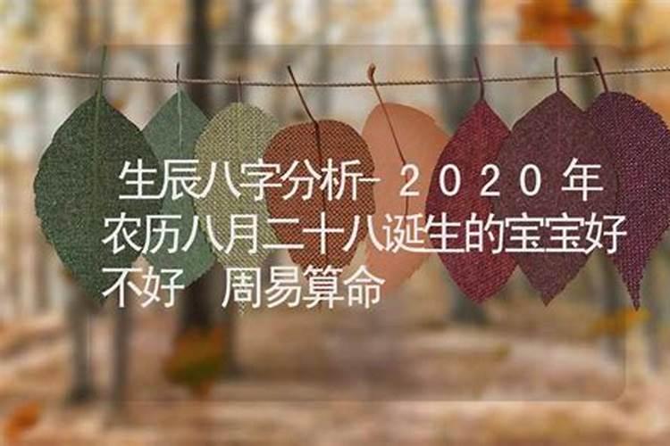 2021年腊月二十八上坟好不好呀