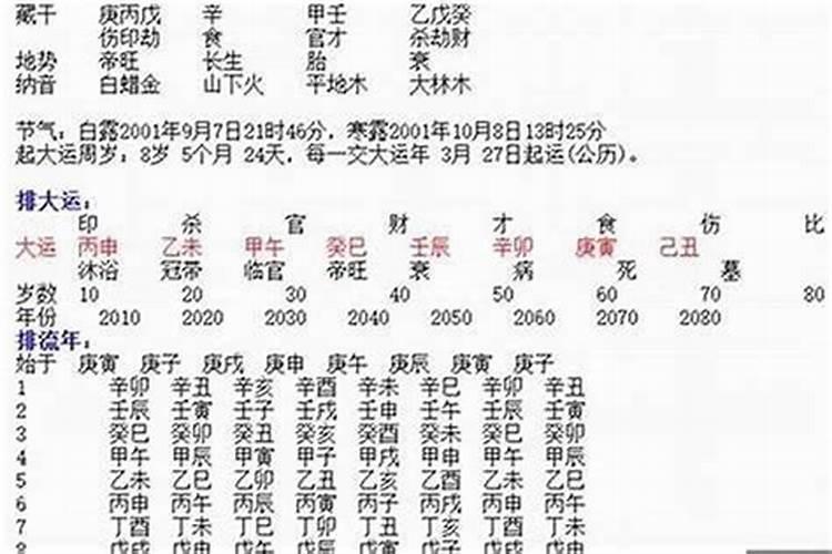 八字枭食比