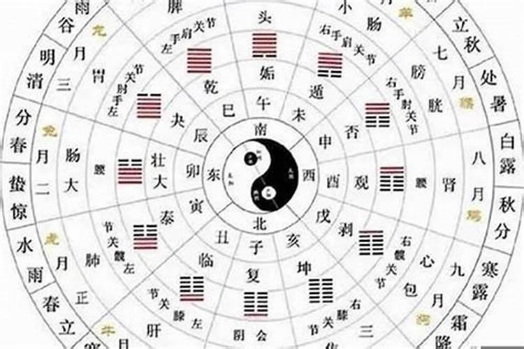 梦到石棺材,七星彩解梦号码