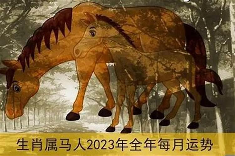 属马女2023运势及运程详解