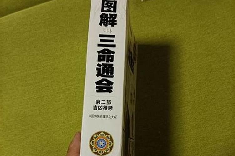 梅州清明祭扫