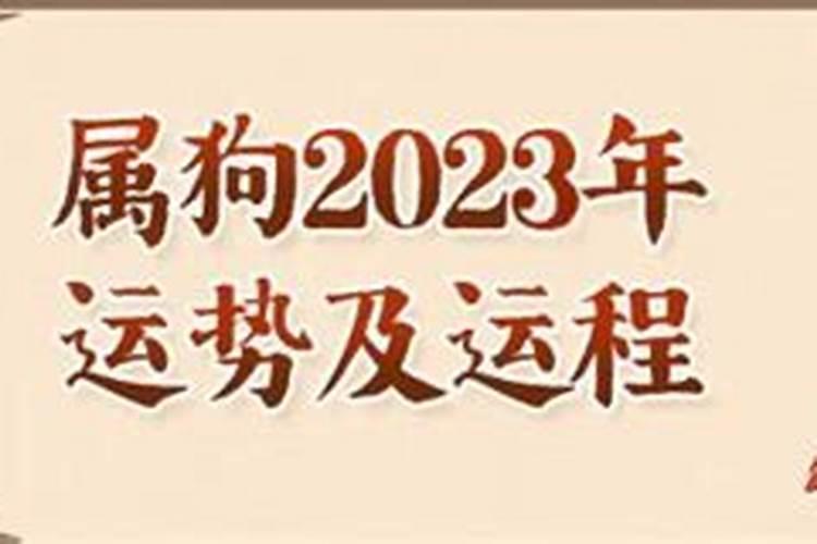 2023年属狗的8月份运势如何