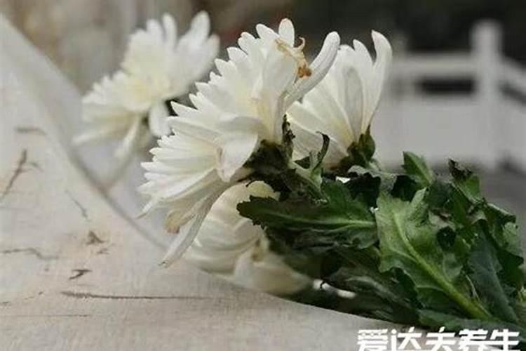 鬼节出生克夫