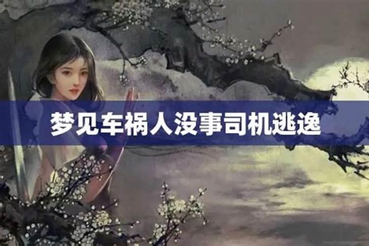 生肖属兔的人是什么命