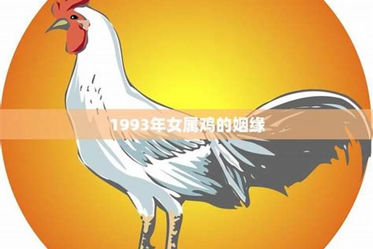 93年属鸡找对象属什么好