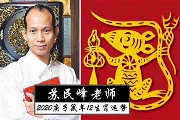 苏民峰2020年12生肖运势解析