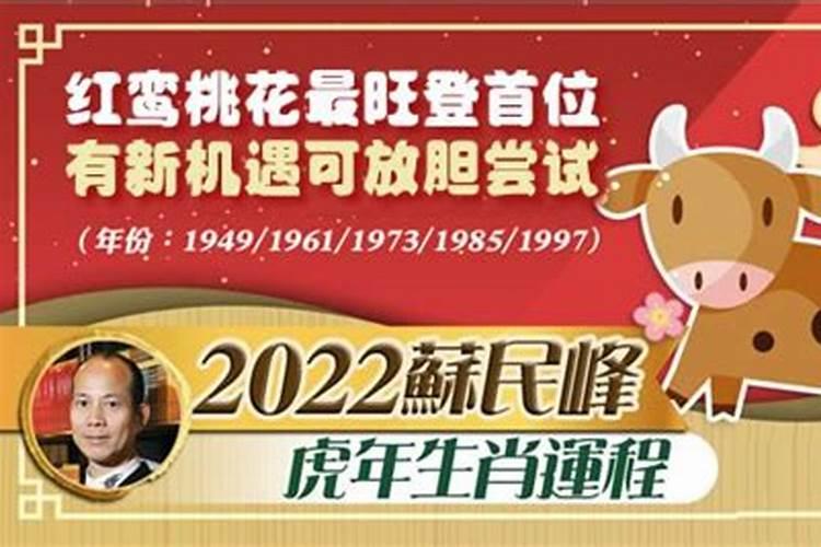 苏民峰2021年生肖运程