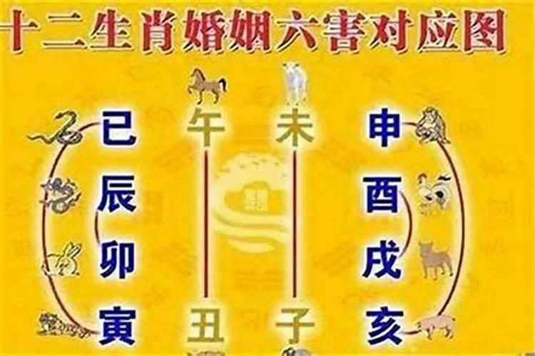 帝师属羊人2024年运势运程