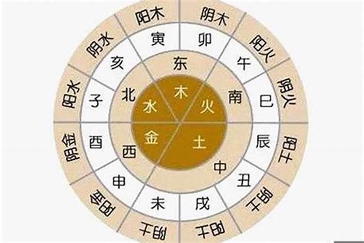 天干的五行合化关系