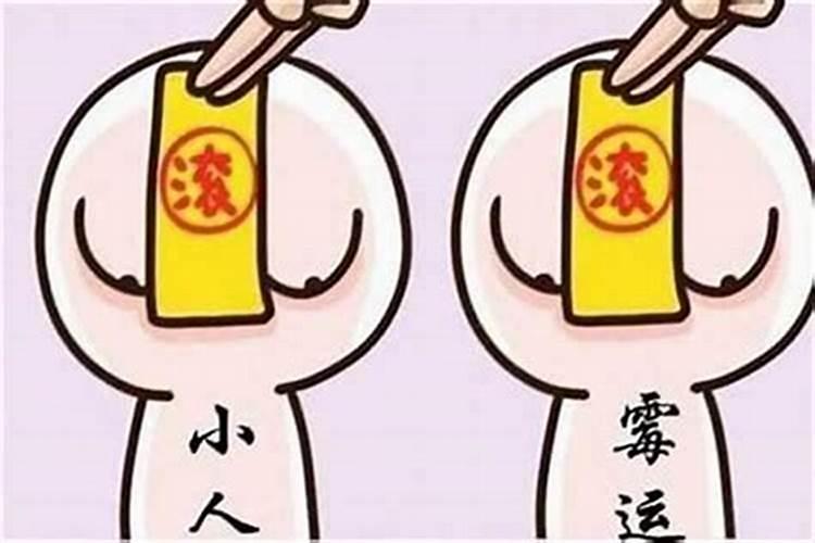 二月十五属马的命运怎么样