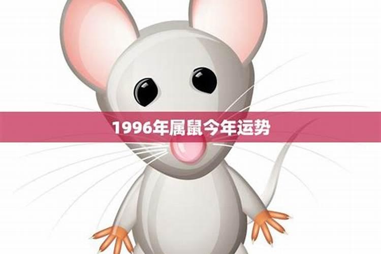 1996老鼠2021年运势