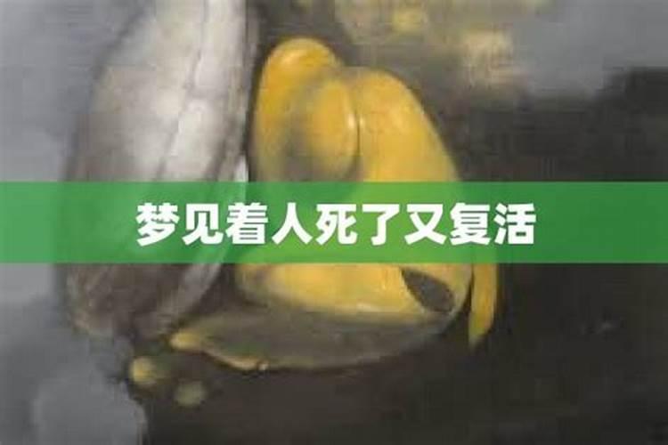 八字中带双童子的人好不好