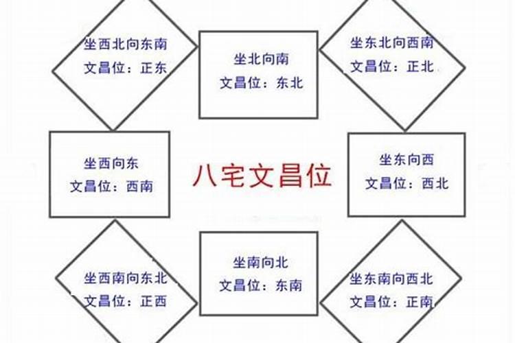 2023年兔宝宝出生月份命运怎么样呀