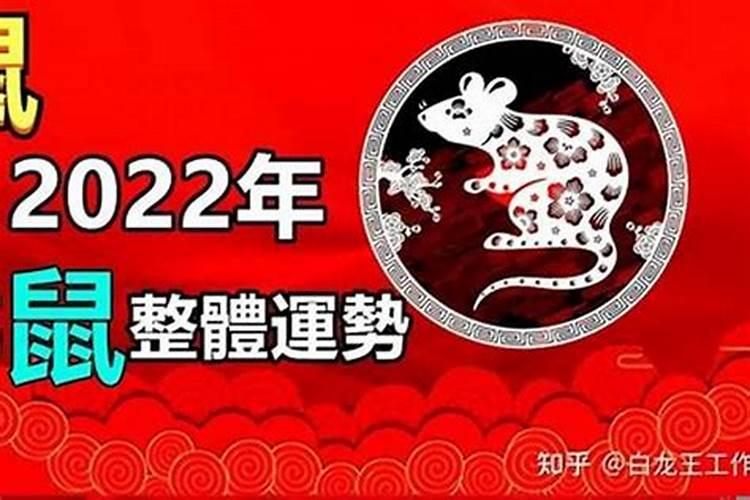 鼠运势2023运势每月运势详解