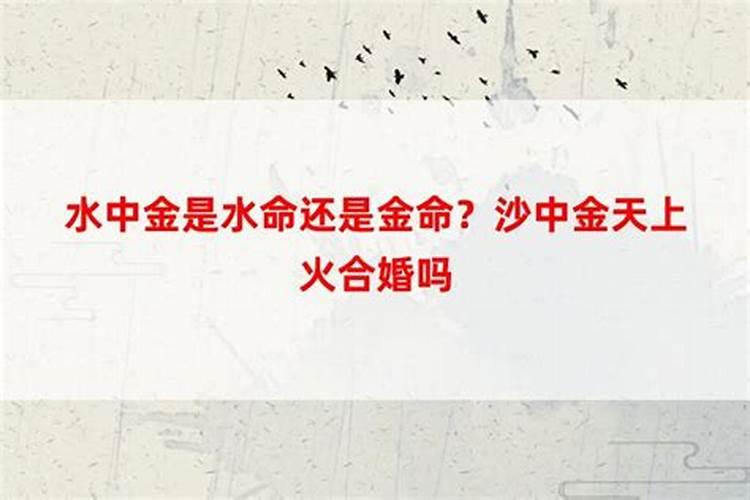 梦见前男友送礼物给自己什么意思