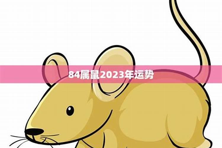 84鼠年2023年运势及运程女