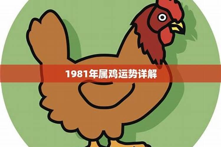 1981年属鸡2023年财运