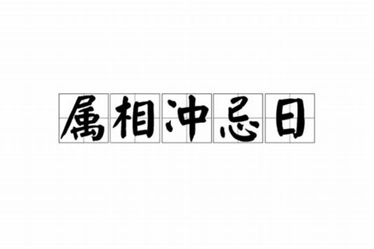 怎么看属相犯冲