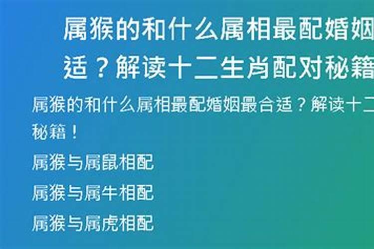 属猴的和什么最配婚姻呢