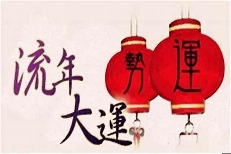 属马和属蛇今年运势怎么样呢