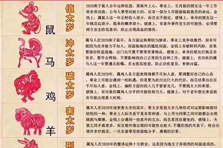 什么属相和属鸡的不合