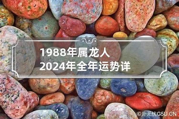 属鼠属兔2024年运势运程