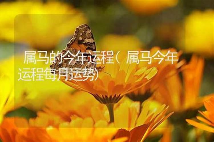 梦见朋友开车撞死人是什么意思呢