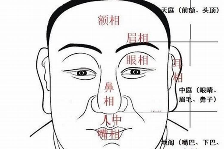 做梦梦到前男友复合了是什么意思