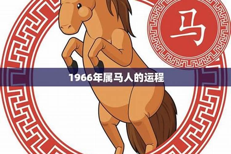 六六年属马2021年运势