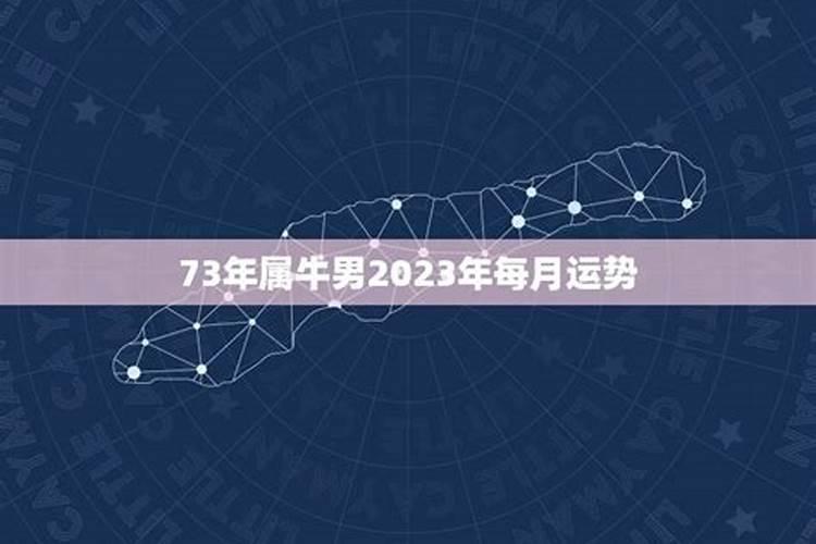 属牛2023年运势73年男