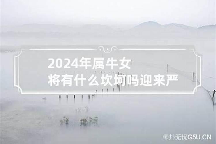 属猪人在狗年运势好吗女性怎么样