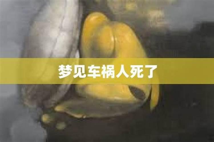 梦见车祸死人头分成两半