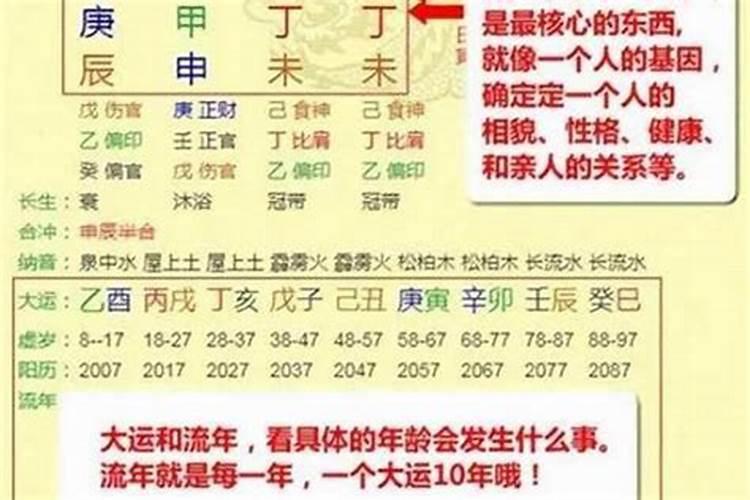 1981年属猪2023年运势及运