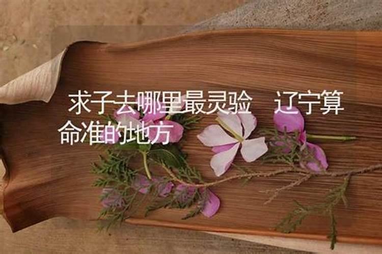 辽宁哪里算八字合婚有名的地方呢