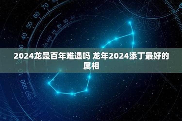 2024年属龙人的全年每月运势