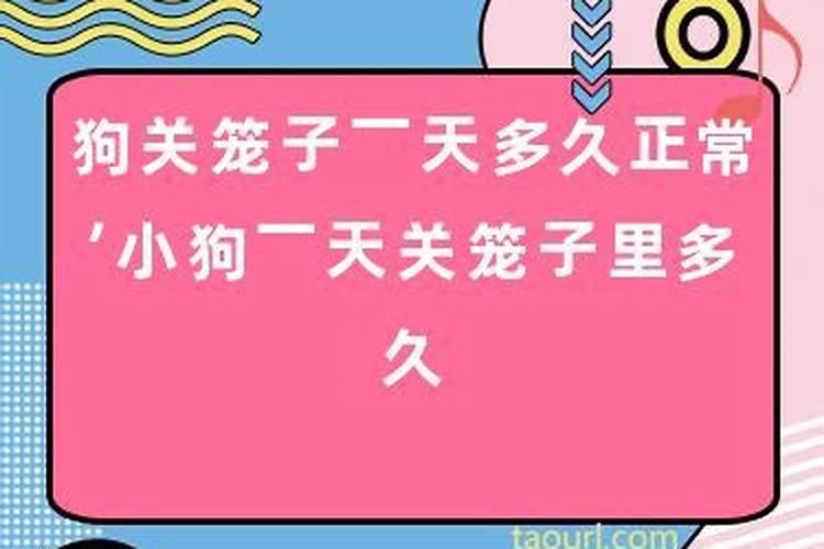 梦到被小蛇咬我背