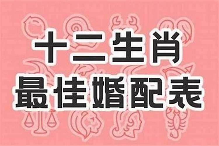 梦见老公撞车了流了好多血水