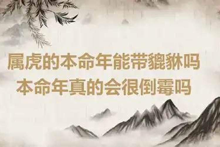 零八年的属相