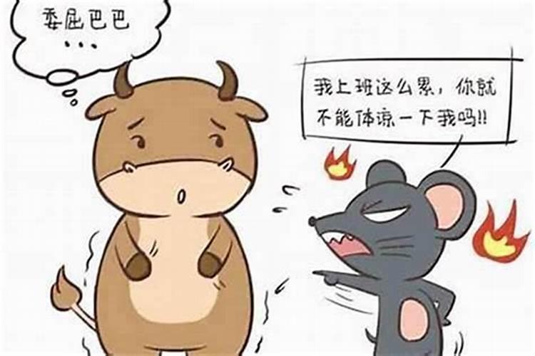 属鼠人本命年应该注意什么