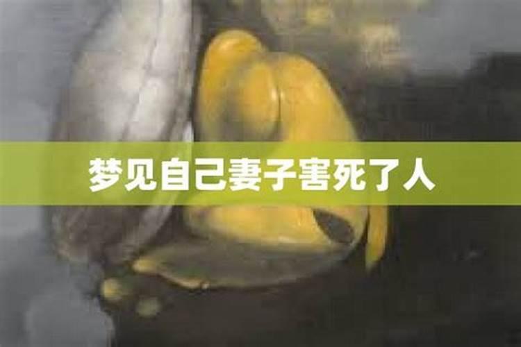 富贵命生肖是哪几肖