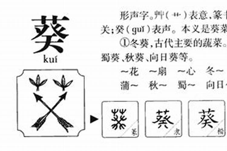 葵五行属什么意思