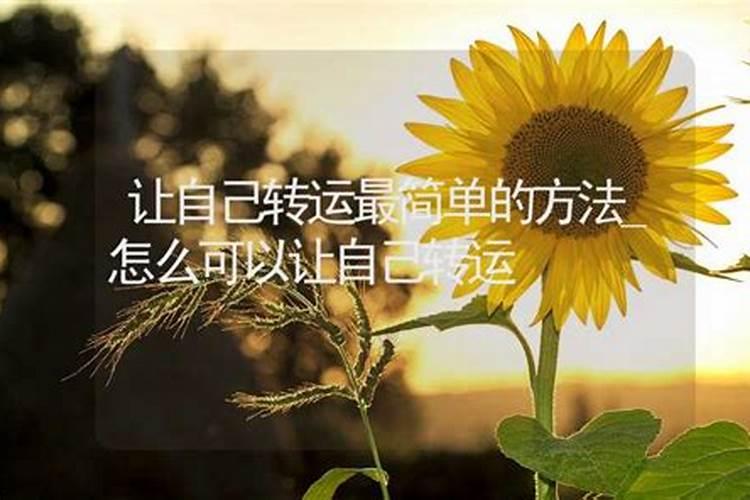 梦见老公拿钱走了