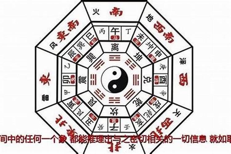 梦到老黄牛追我跑什么意思周公解梦