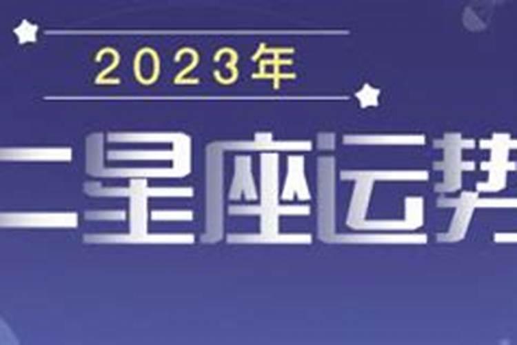 星吧geo2023年运势