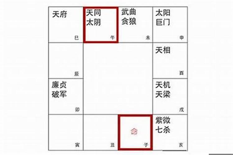 能送朋友本命年内衣内裤吗男生