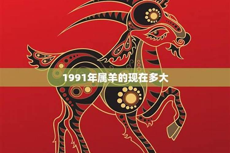 1991年属羊的在2022年的命运